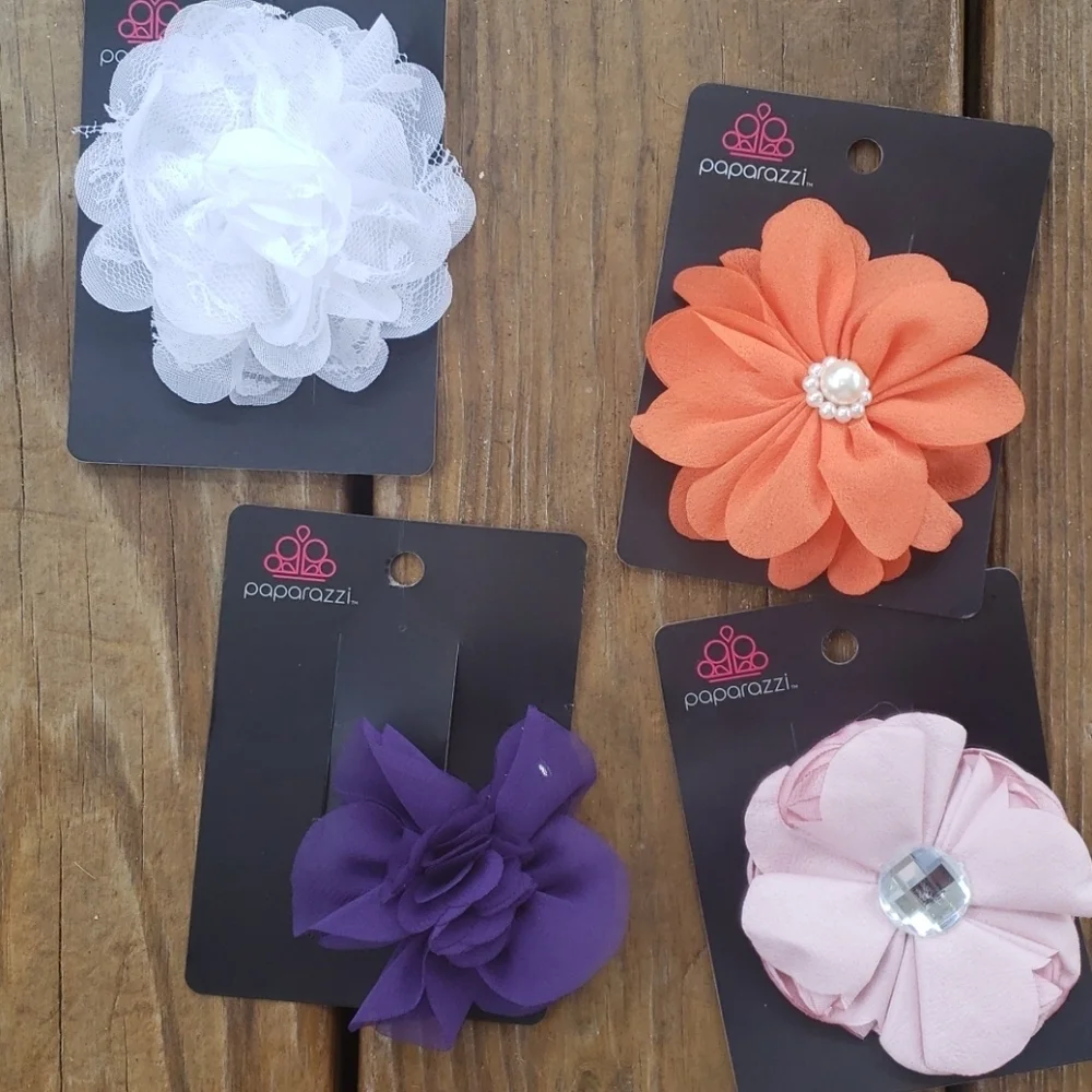 Paparazzi hair clips for girls